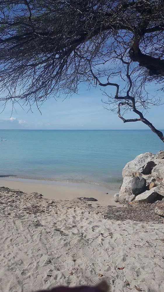 Luichy'S Seaside Hotel El Combate